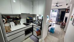 Parc Botannia (D28), Condominium #539119241